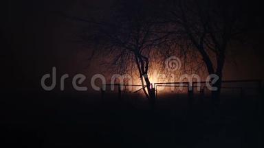 夜晚篱笆后的树木和灯光效果